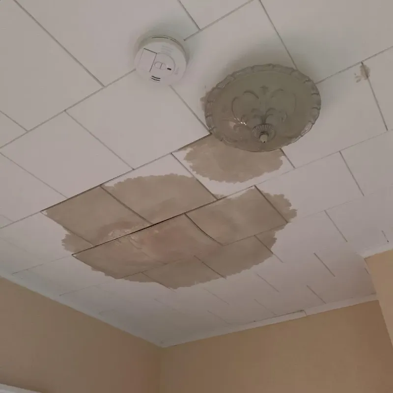Ceiling Water Damage Repair in Rockingham County, NH