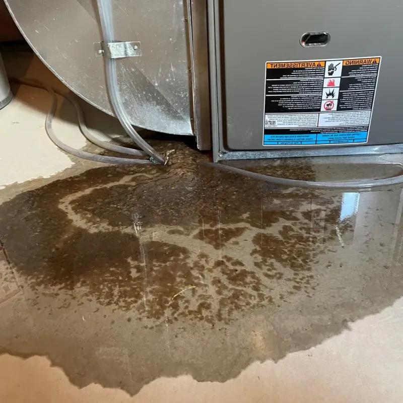 Pipe Burst and Leak Restoration in Rockingham County, NH